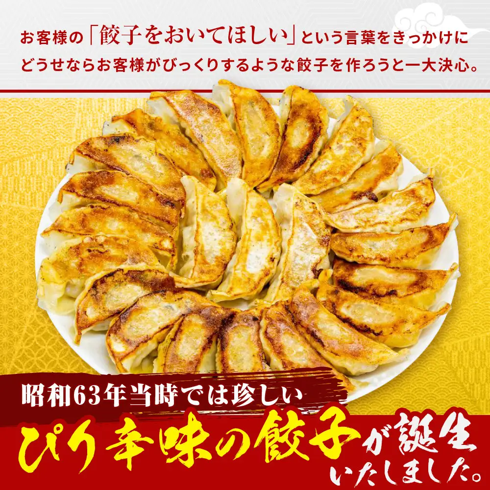 ニンニク不使用 ぴり辛餃子＆黒豚餃子10パック120個セット 京都 小分け 餃子 人気 ラーメン横綱