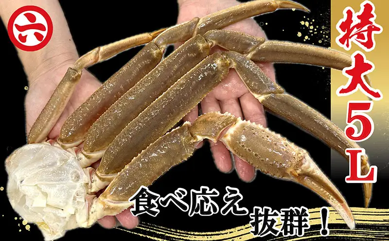 本ずわいがに ほんまにうまい 生本ずわいがに 特大5L 本ずわいがに【3kg 7〜8肩】【冷凍】