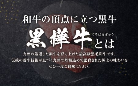 【3回定期便】くまもと黒毛和牛 杉本本店 黒樺牛 A4~A5等級 ヒレステーキ定期便 400g?3回