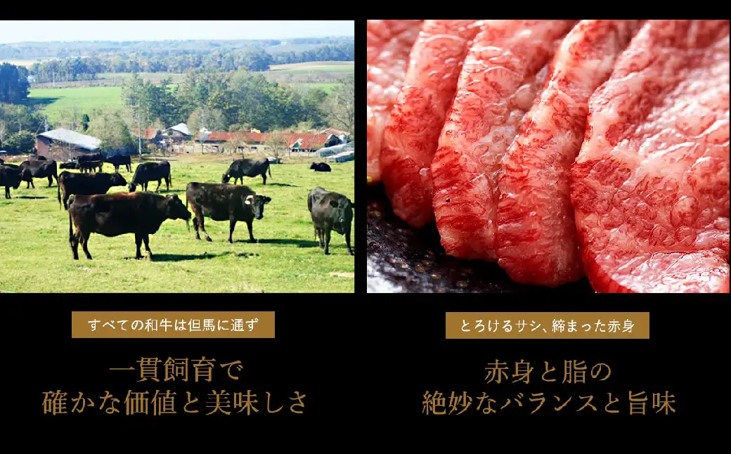 但馬ビーフはまだ 極上但馬牛 焼肉3種盛り 600g ロース・モモ・希少部位