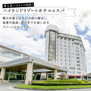 【ハイランドリゾート】ホテル仕込みの中華５種（Aセット） 中華 中華料理 ホテルシェフ ハイランドリゾート 冷凍 