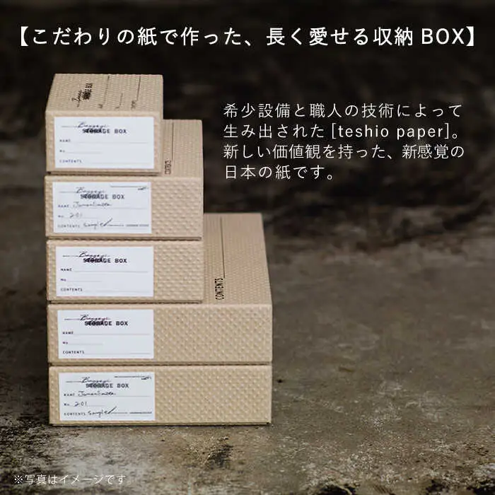 収納 スタッキング A4 Baggage Box csm エンボス インテリア 【岩嵜紙器】 [ZA29]