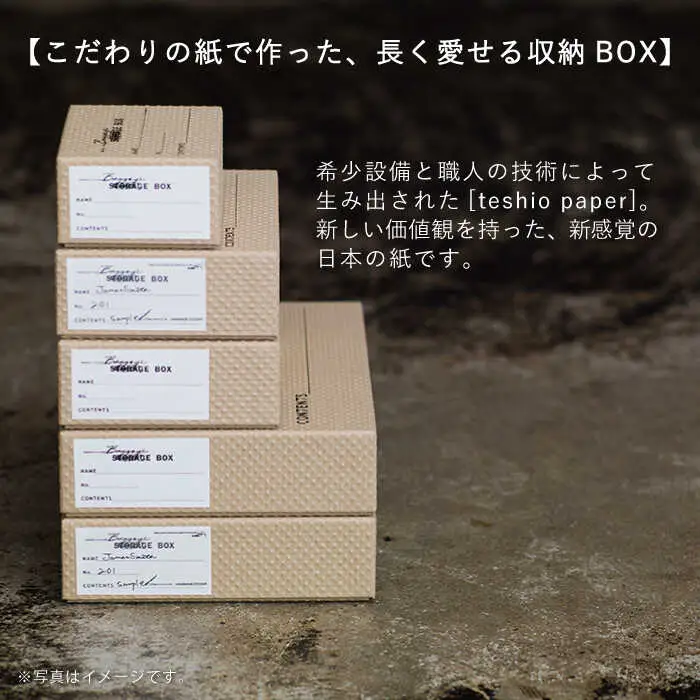 収納 スタッキング ポストカードサイズ Baggage Box csm エンボス インテリア【岩嵜紙器】 [ZA33]