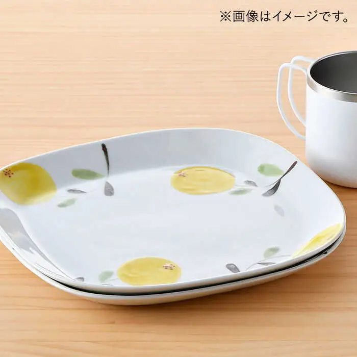 【波佐見焼】モコア スクエア プレート 2枚セット 食器 皿 【陶豊】 [OE16] 波佐見焼
