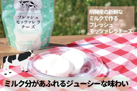 にゃんにゃん乳製品セット 牛乳 飲むヨーグルト 生クリームヨーグルト モッツァレラチーズ 牧成舎 ギフト 福袋 詰め合わせ (SAVE THE CAT HIDA支援) [AI032]