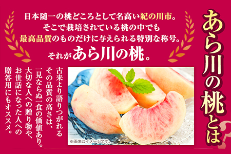 【2027年先行予約】桃 あら川の桃 約2kg