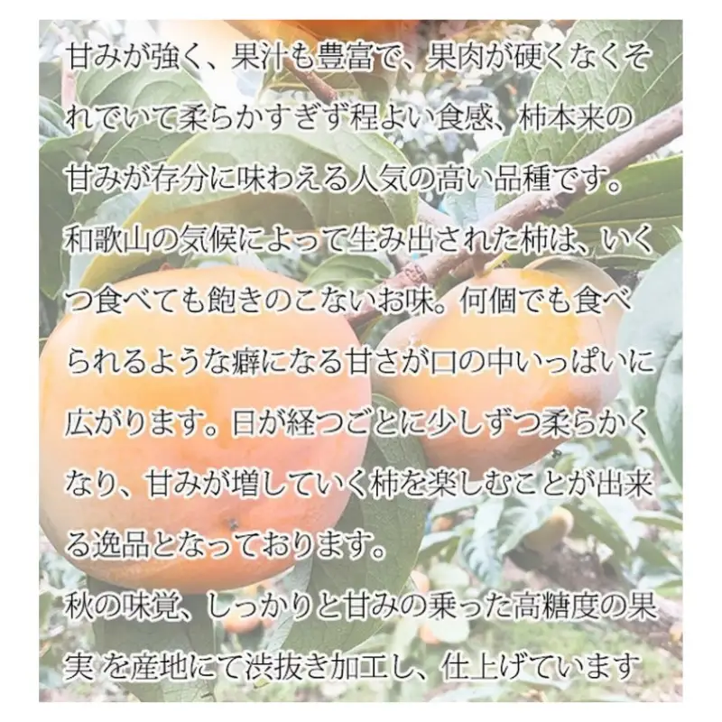 柿 【訳あり・ご家庭用】平核無柿（ひらたねなしがき）約3.5kg 和歌山秋の味覚【2026年10月上旬頃～11月上旬頃に順次発送予定】【UT31w】【Z91047-uot740】