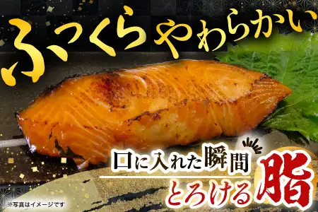 塩銀だら12切＆銀だらみりん漬け12切セット C-09027