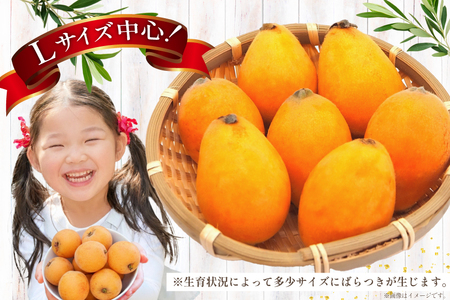 AF220【令和9年度出荷分】びわ 果汁たっぷり！川田さん家の温室栽培びわ 500g