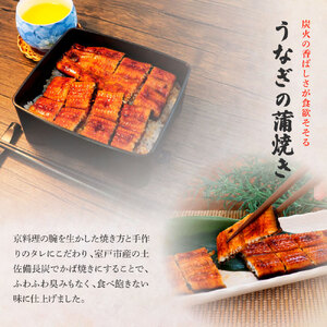 うなぎの蒲焼き(小) 2尾×3回 定期便 3ヶ月 定期コース タレ付き 山椒付き