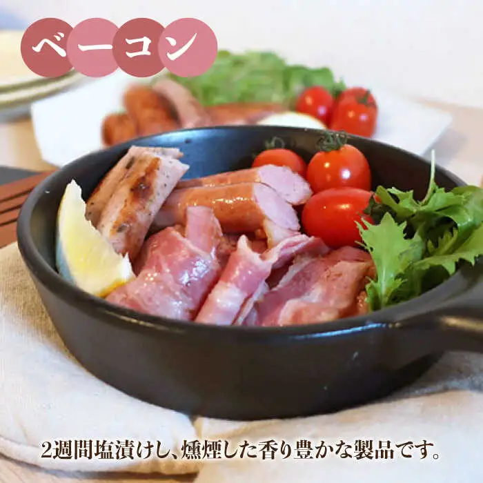 【お中元対象】＼DLG金賞・銀賞受賞！／糸島の陽光 ハム 5種 セット 4 《糸島》 【志摩スモークハウス】ハム ソーセージ 食べ比べ[AOA004]