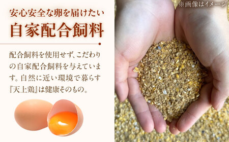 【 全12回 定期便 】 こだわり の 卵 「 天上卵 」 40個 セット 糸島市 / 糸島ファームハウスUOVO [AKH008]