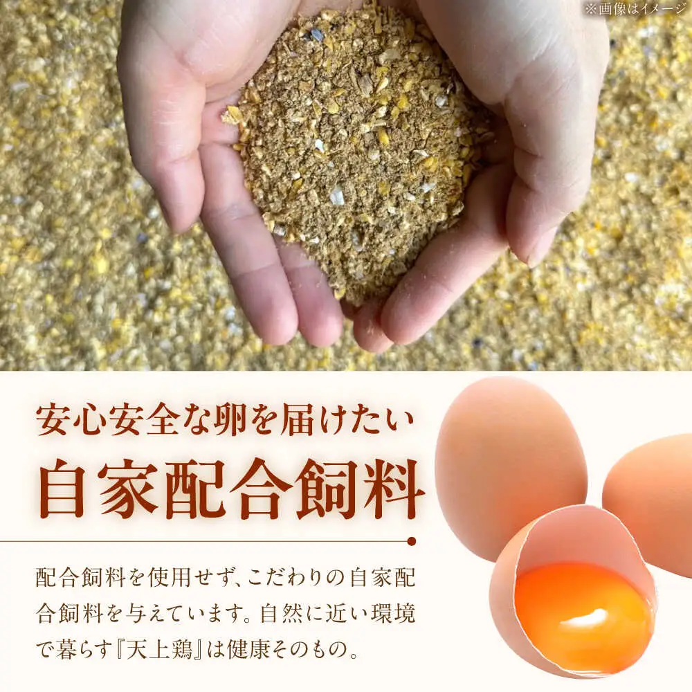 平飼い 卵 「 天上卵 」 20個セット  糸島市 / 糸島ファームハウスUOVO  [AKH001] 鶏卵 卵 平飼い 平飼い卵 玉子 たまご 高級 新鮮 自然 自家配合飼料