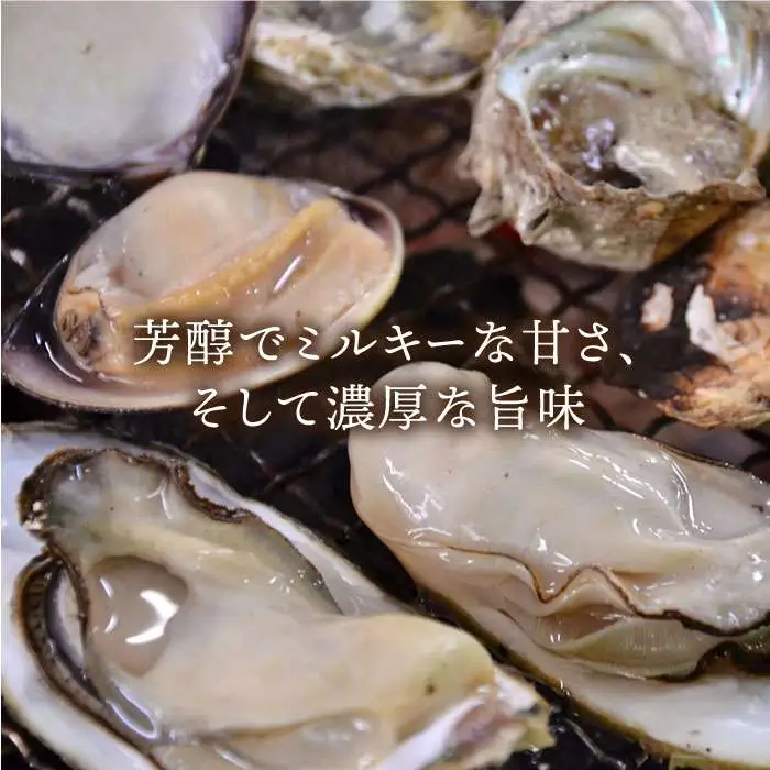 糸島 カキ 6,000円分 飲食 チケット 《糸島》【飲食チケット】冬の風物詩 牡蠣小屋[AKD001]
