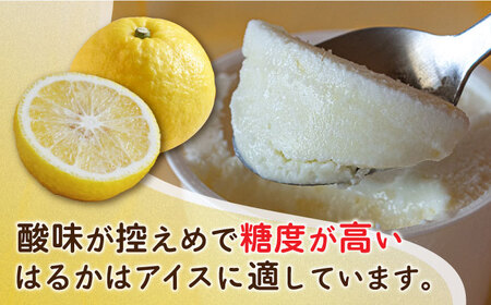 【 限定 25セット ！ 】 はるか みかん アイス クリーム 8個 セット 《糸島市》【あいしん食品株式会社】 [AGI001] フルーツ
