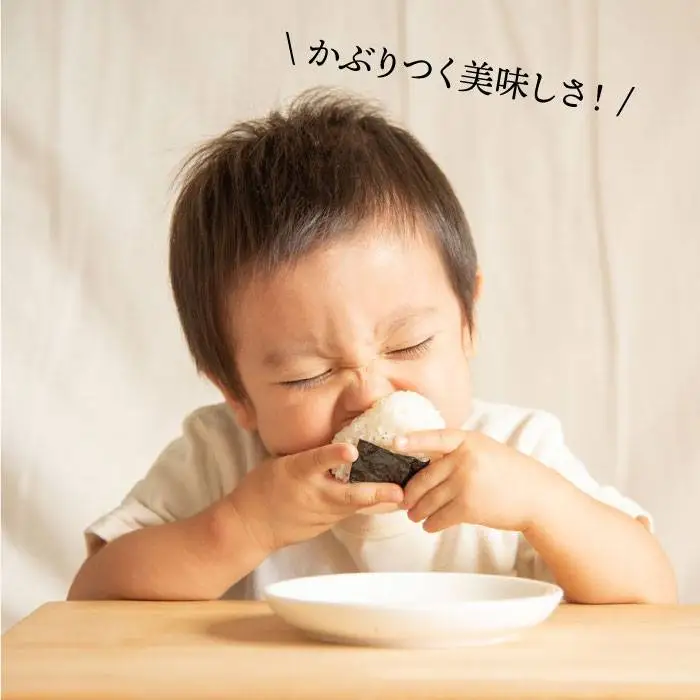 【お中元対象】一番摘み 有明海産 焼き のり 100枚 ( 10枚 × 10袋 ) 博多 海苔 福岡《糸島》【博多海苔】 [ACG001]