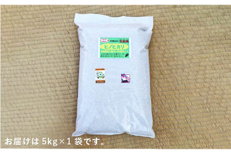 【 栽培期間中農薬不使用 】米 旋風 ヒノヒカリ 玄米 5kg 《糸島》 【百笑屋】 [ABF007]