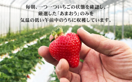 【その日一番のあまおうを即日出荷！】 本格 あまおう ( 285g × 2パック) いちご 苺 糸島市 / みのりのりん [ABD002] ランキング 上位 人気 おすすめ