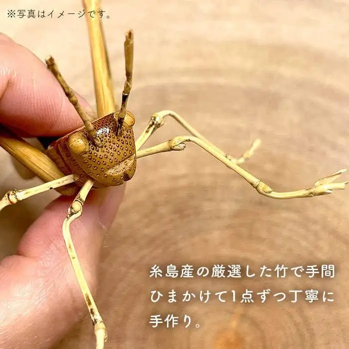 爽風じぃじ 工房 の 手作り 竹細工　バッタ【爽風農園】【いとしまごころ】[AIZ003]