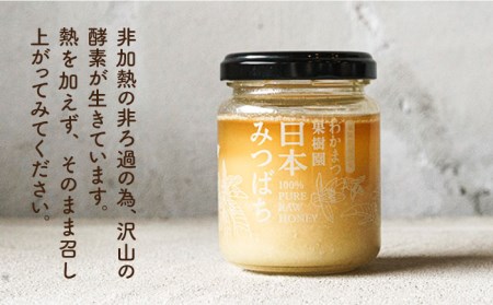 【先行受付】福岡県 糸島産 わかまつ 果樹園 の 日本 蜜蜂 の はちみつ 100％ PURE RAW  【2026年11月以降、順次発送予定】《糸島》【わかまつ農園】[AHB009]