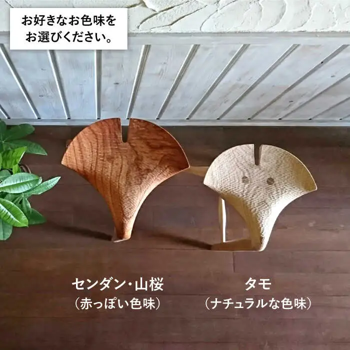 銀杏 スツール ＜ロー スツール ＞ 《糸島》 【工房はーべすと】 [AYA042]