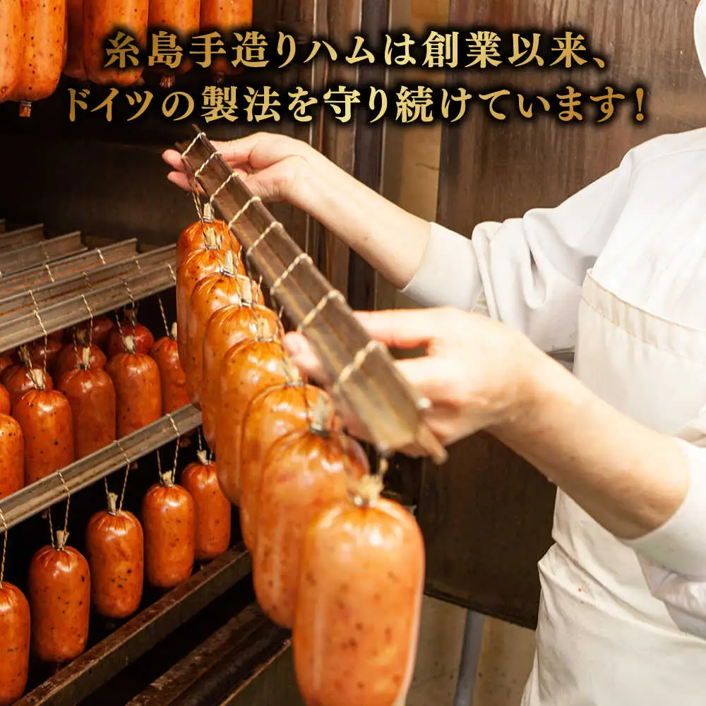 【本場ドイツで連続金賞受賞】マイスター ギフト セット 10種 詰め合わせ ( ハム / ソーセージ / ウインナー) 糸島市 / 糸島手造りハム [AAC001]  詰め合わせ ランキング 上位 人気 おすすめ
