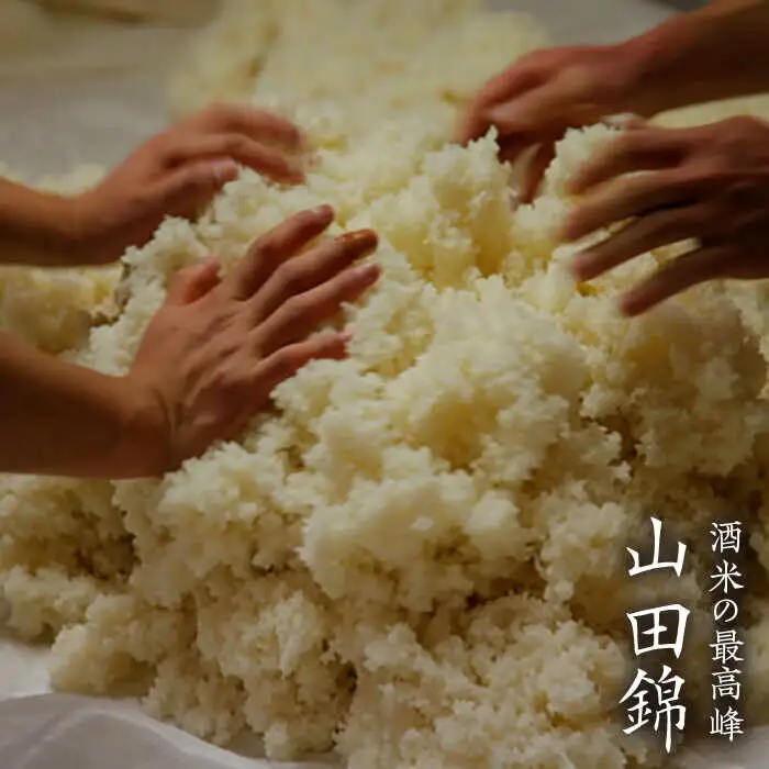 ハネ木 搾り の 純米吟醸酒 セット 至福《糸島》【白糸酒造】[AVA002]