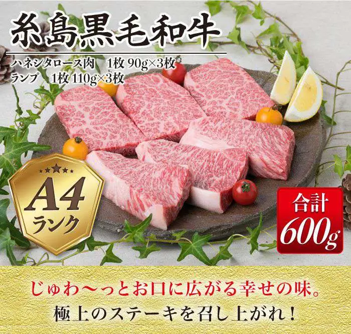 【極上 ステーキ】合計 600g (6枚入) ハネシタロース ランプ A4ランク 糸島 黒毛和牛 【糸島ミートデリ工房】[ACA041] 希少 ステーキ ランプ ロース 牛肉 赤身 国産 和牛 黒毛和牛