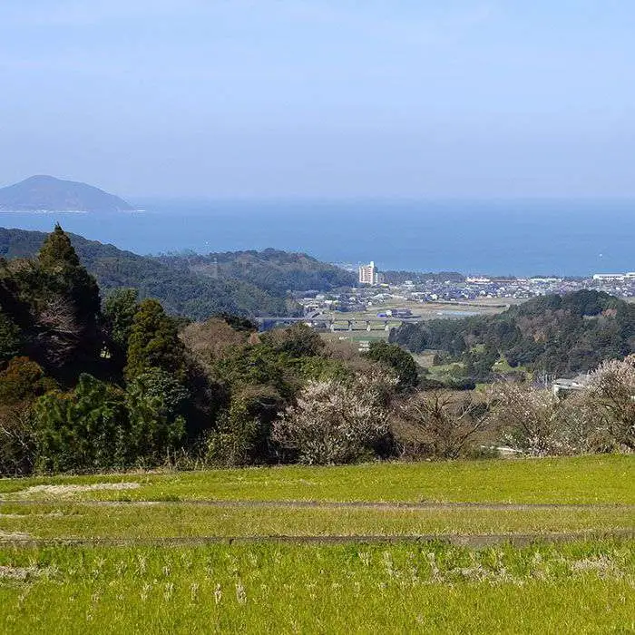 【 定期便 】福吉産 の お米 ＜6回コース＞ ヒノヒカリ 5kg  糸島市 / 二丈赤米産直センター [ABB013] 米 ひのひかり