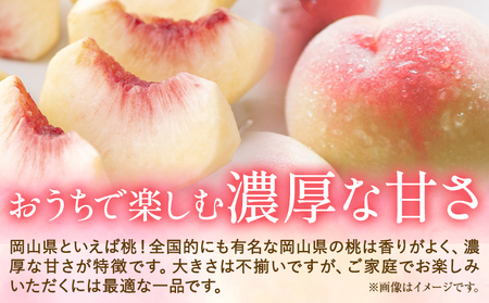 ご家庭用 おかやまの桃 約1.3kg　白桃