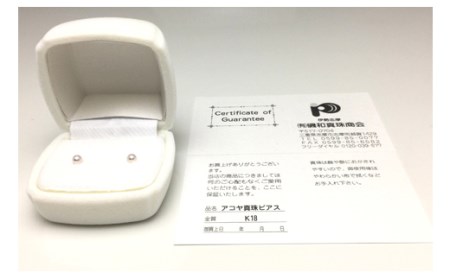 Pt900 アコヤ真珠 3.5-4.0mm ピアス 真珠 パール