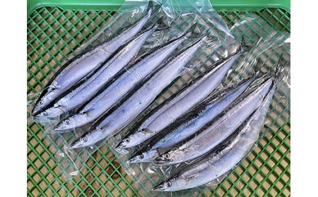 釧路産・急速冷凍 【特大】サンマ（4尾入×2） サンマ さんま