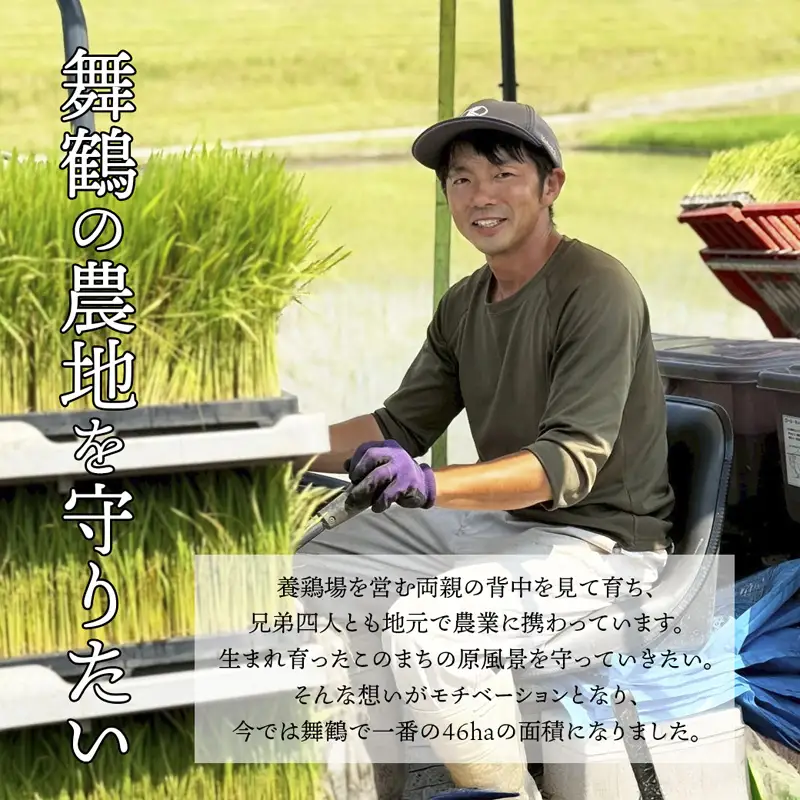 【令和7年度産】 コシヒカリ 5kg 精米 白米 こしひかり お米