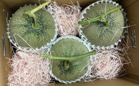 【2027年先行予約】ぎゅっと肉厚！山形のおいしいメロン【赤肉】 赤肉メロン メロン 赤肉 デザート フルーツ 果物 くだもの 果実 食品 山形県 FSY-0117