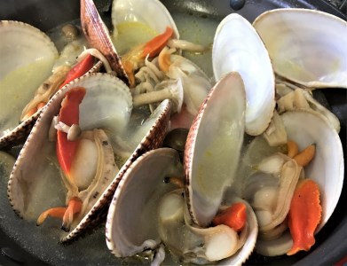 ★自宅de貝づくし★赤貝・ヒメ貝・べっぴんさざえ・瀬戸貝★周防大島の冬の貝４種詰め合わせ！【先行受付開始！2027年2月6日以降のお届け】
