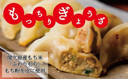 【関ケ原産ふわりもち使用】関ケ原裏切り餃子（白餃子50個の内激甘3個入り）