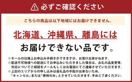 兵庫県産 オイスターサーモン（冷凍）（フィレ 2枚）約400g～600g サーモン 魚 魚介 海鮮