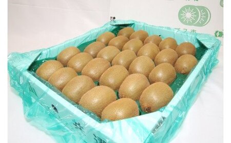 ＜2026年発送先行予約＞キウイフルーツ「ヘイワード」24～30玉入り 約3kg ALPAA027