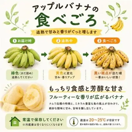 芳醇な甘さにモッチリ食感『有機アップルバナナプレミアム(3kg)』【1534083】