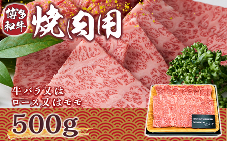 牛肉 焼肉用 博多和牛 500g 和牛