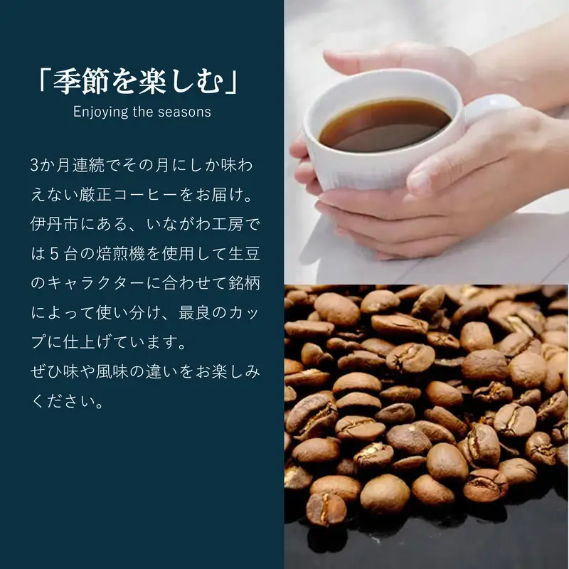 ヒロコーヒー コーヒー(粉) お楽しみ 3回 定期便 珈琲 粉