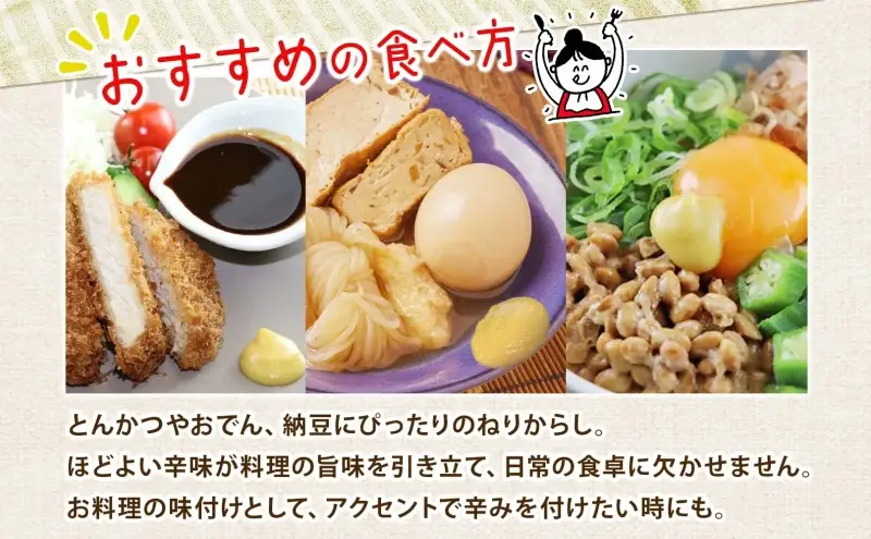 美ノ久 ねりからし 110g×3本 調味料 カラシ 練りからし 練からし チューブタイプ アレンジ 辛味 爽やか 合わせやすい スパイス コク とんかつ おでん 納豆 低粘度 常備 かけるだけ アクセント お取り寄せ ご当地 送料無料 岐阜県 安八町