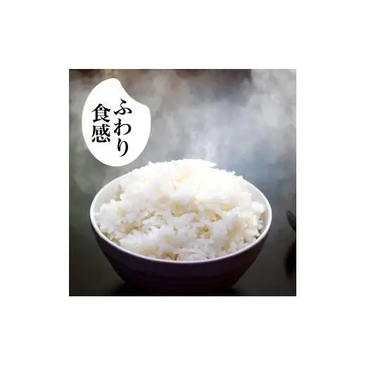R8年産 新米 こしひかり 5kg 