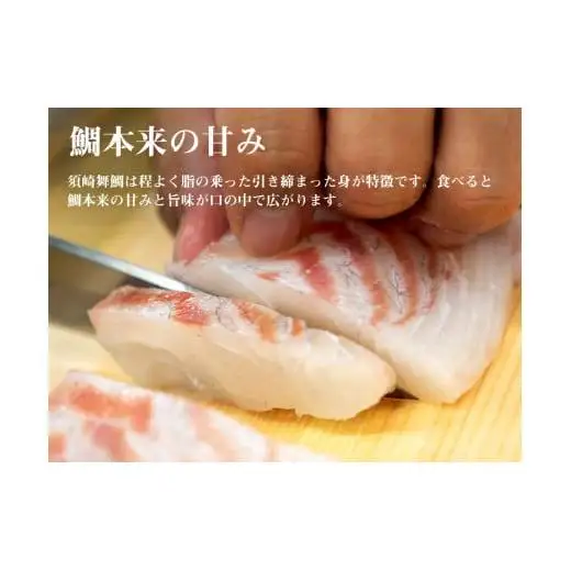 【 鯛 】 真鯛 まるごと 1尾 400 ～ 500g