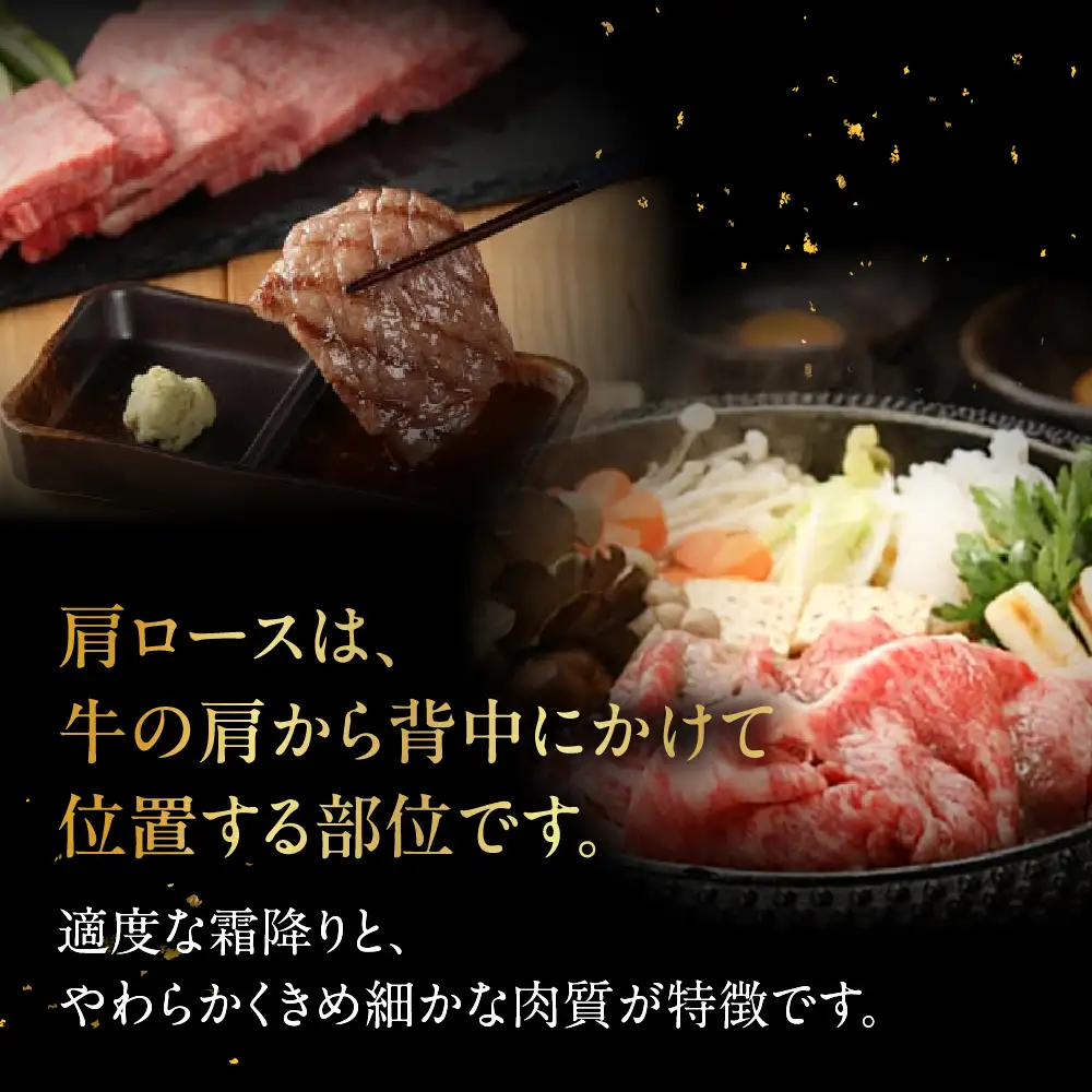 飛騨牛肩ロース  600g（焼肉用）【22-19【1】】