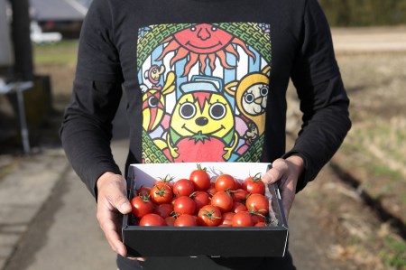 【期間限定発送】 野菜 瓦田こいとまと 中玉 約1kg×1箱