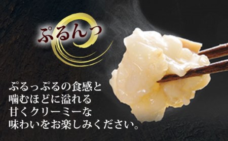 もつ鍋 やまや あごだし醤油味 5～6人前 もつ鍋