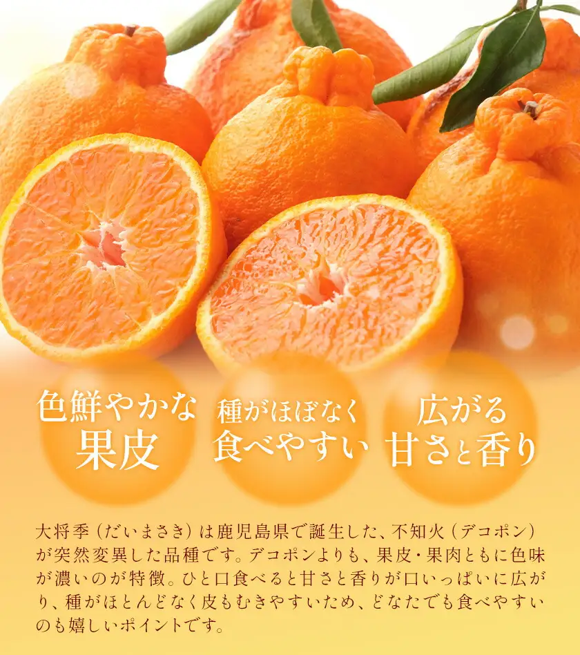 【先行予約】 大将季（だいまさき）みかん 大将季デコ 3kg よしたか農園 《2027年2月上旬-3月下旬頃出荷》