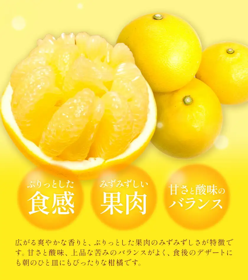 【先行予約】サワーポメロ 10kg 大橘（おおたちばな）よしたか農園 《2027年2月上旬-3月下旬頃出荷》