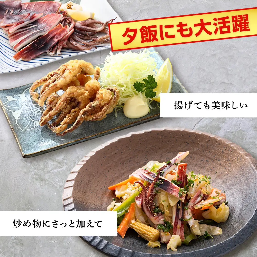 イカ 一夜干し 定期便 ☆毎月届く☆真いかの一夜干し定期便 全６回＜秋元水産＞